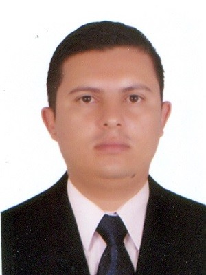 Mario Enrique Ibarra